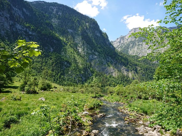 Scenic view of stream amidst plants on field by mountains