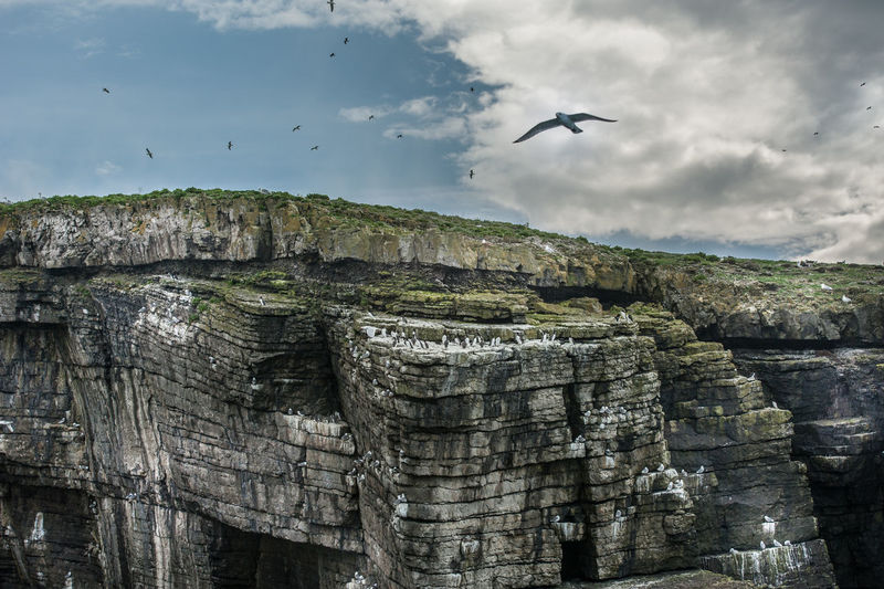 Scenic view of birds flying over cliffs on island