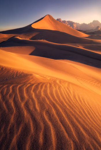 Golden lines from saudi arabia 