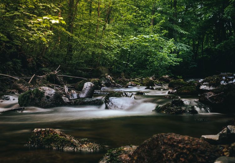River flowing through rocks