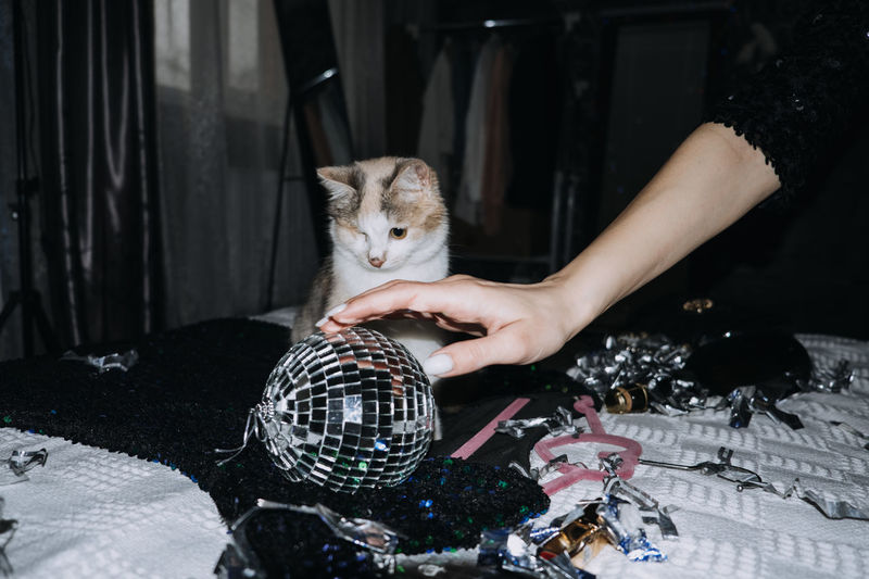 Nightlife, new year eve party. beautiful woman in shiny evening dress is going to new year's eve