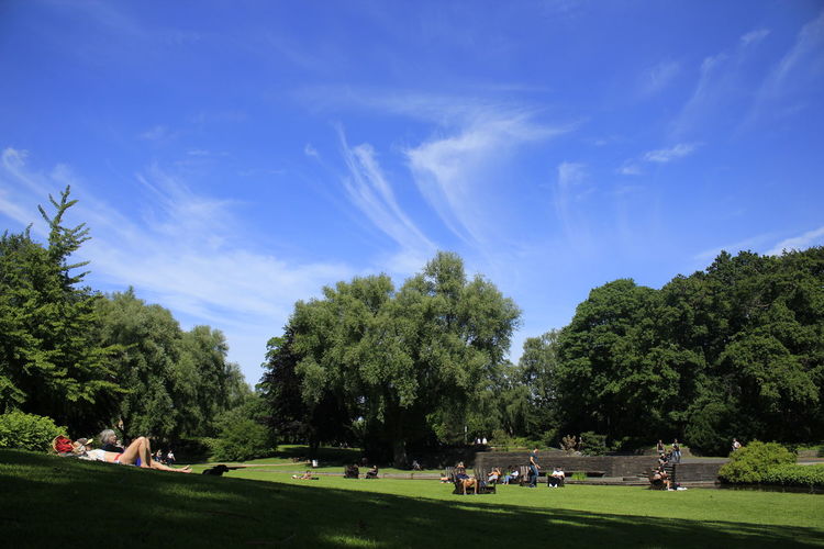 People relaxing on field by trees against sky
