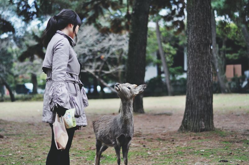 Woman looking at deer while standing on field