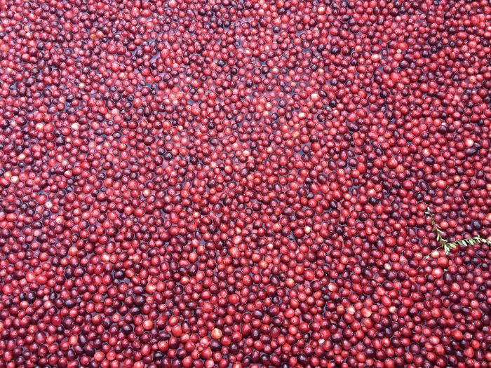 Full frame shot of red fruit