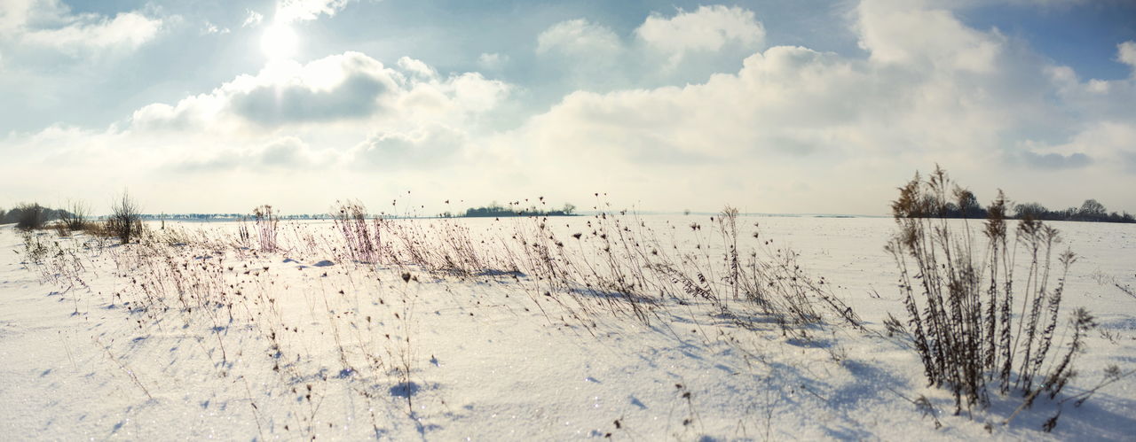 Panoramic view of snow covered land against sky
