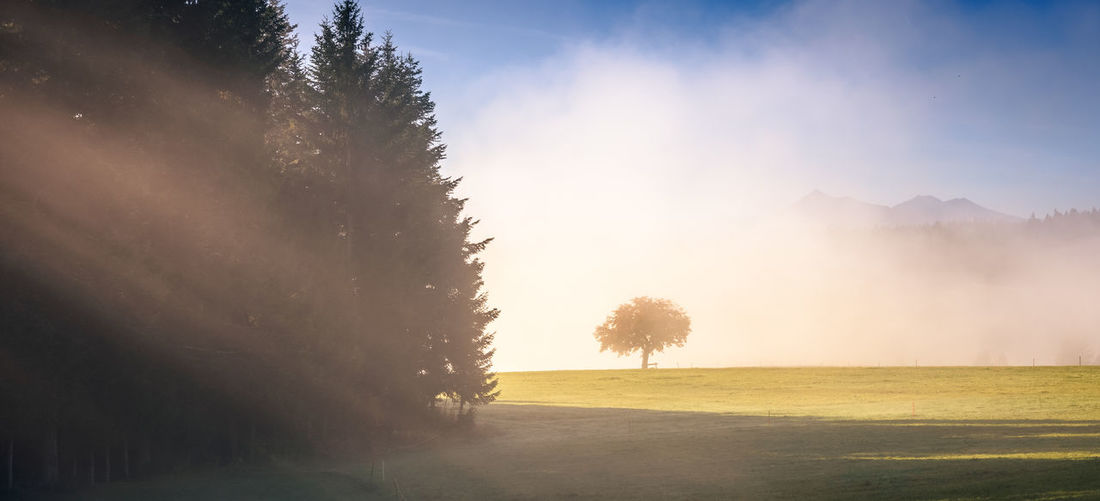 Scenic view of landscape against sky during sunrise