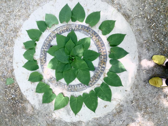 Low section of person standing by leaves arrangement