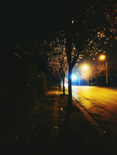 Illuminated street light by trees against sky at night