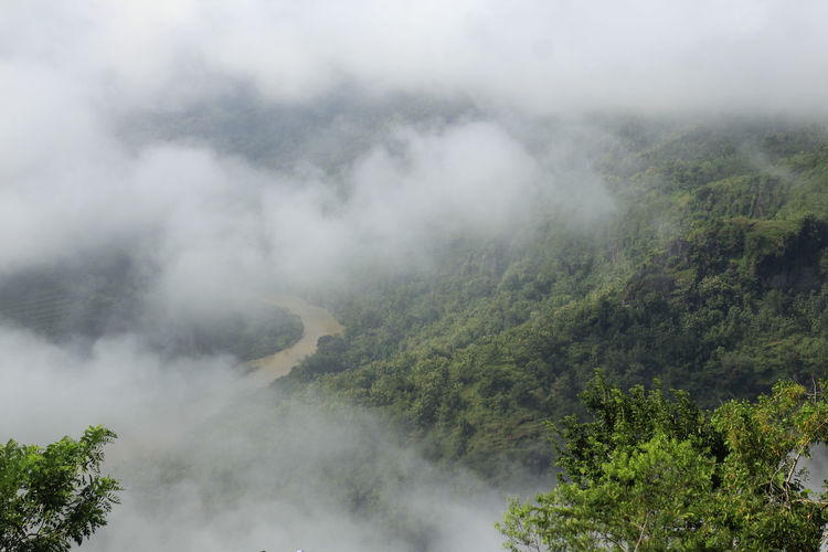 View of green and misty nature in mangunan, dlingo, bantul, yogyakarta.