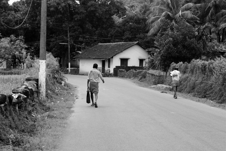 Rear view of men walking on road amidst trees