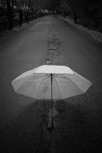 Close-up of wet umbrella on road