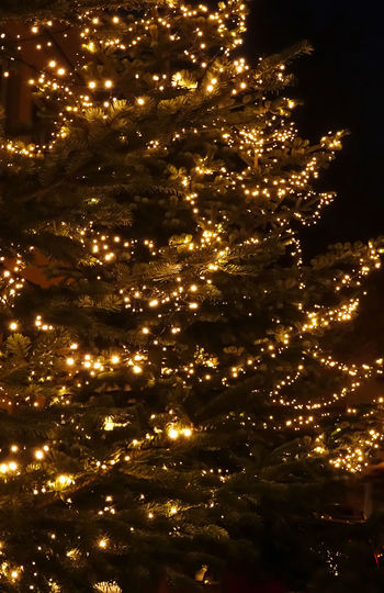 Low angle view of illuminated christmas tree at night