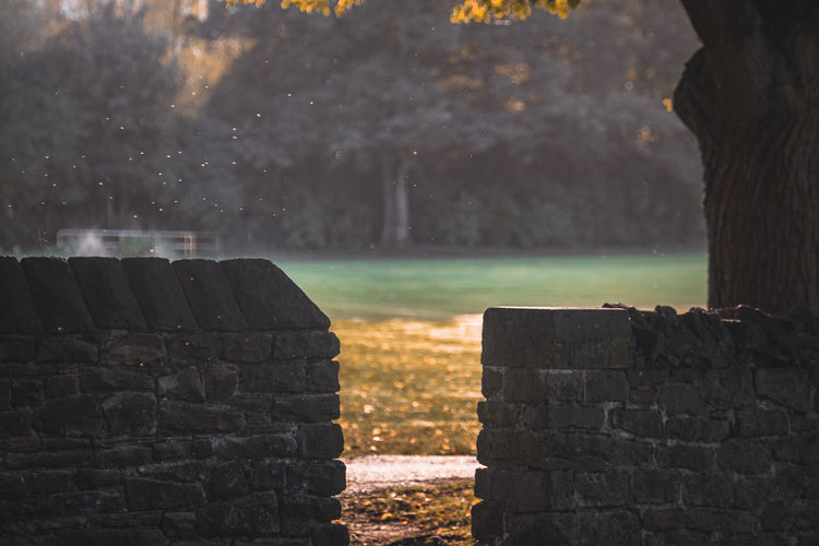Scenic view of stone wall by lake