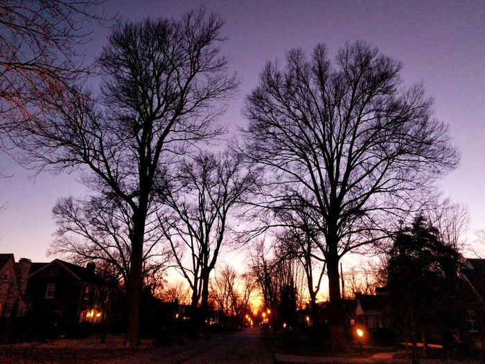 Silhouette bare trees by road against sky at dusk