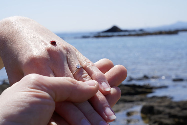 Close-up of hands on sea shore