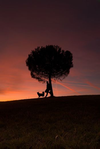 Silhouette man and dog on field against sky during sunset