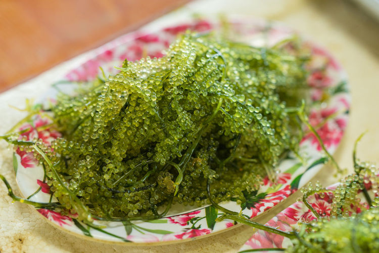 Close-up of green caviar in plate