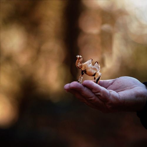 Close-up of hand holding toy camel