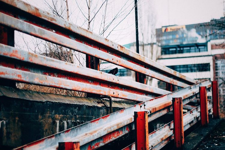 Railroad tracks