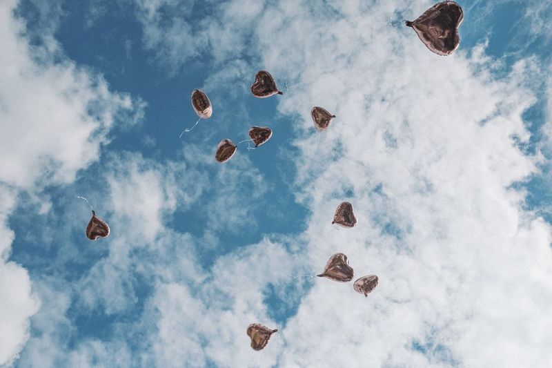 Low angle view of hearts flying in sky