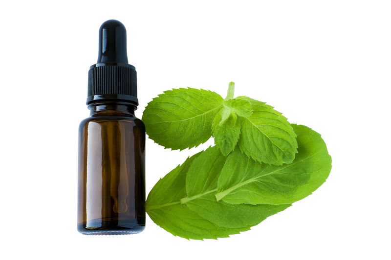 Close-up of green leaves and bottle against white background