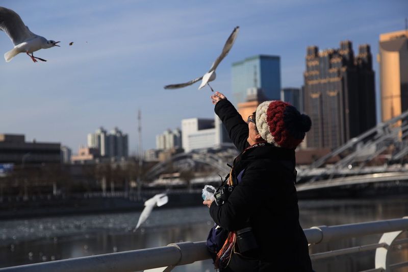 Woman feeding seagulls over river in city