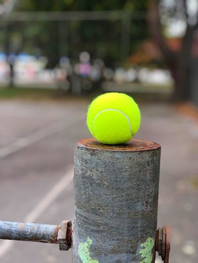 Close-up of yellow ball on metal structure