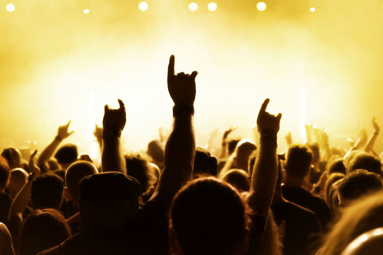 Group of people at music concert