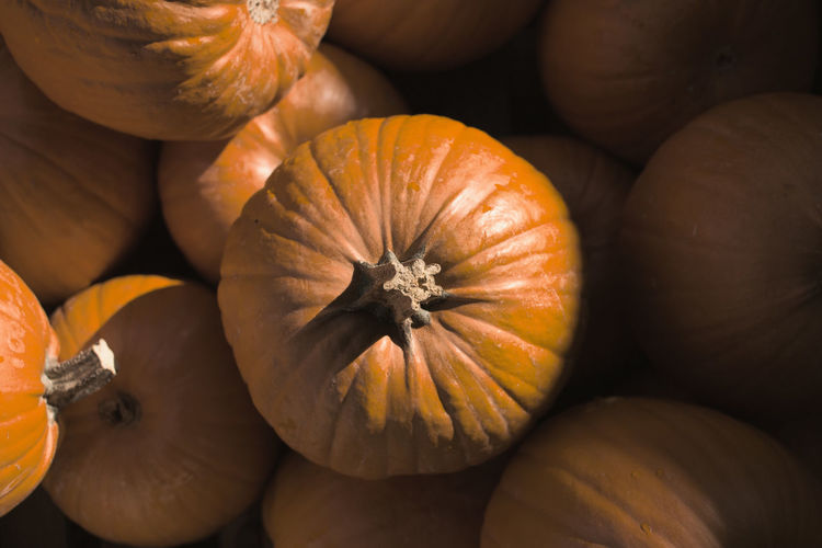 Close-up of pumpkin from above