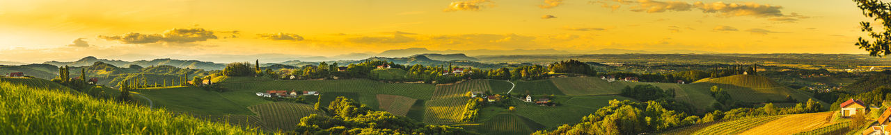Panorama sunset over south styria vineyard landscape in steiermark, austria.