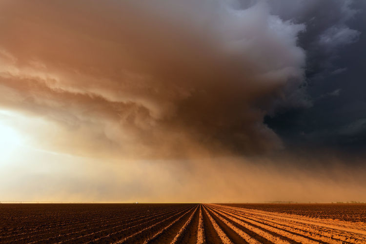 Dust storm over a farm field in the great plains near lubbock, texas.