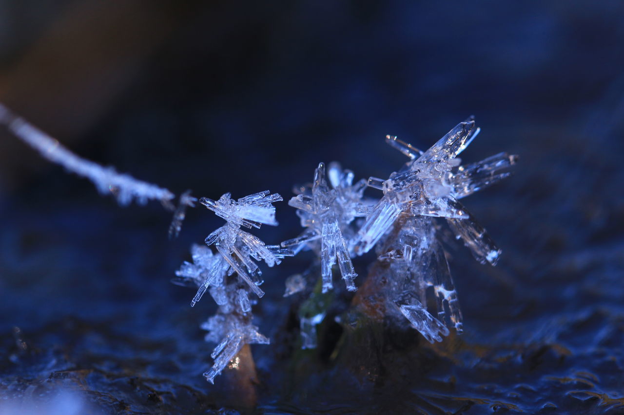 Ice Crystal Pictures Curated Photography On Eyeem