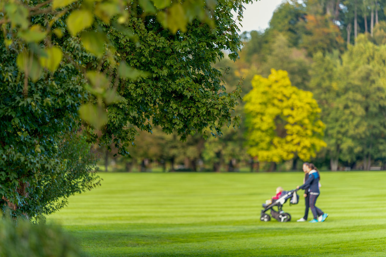 baby stroller for golf course