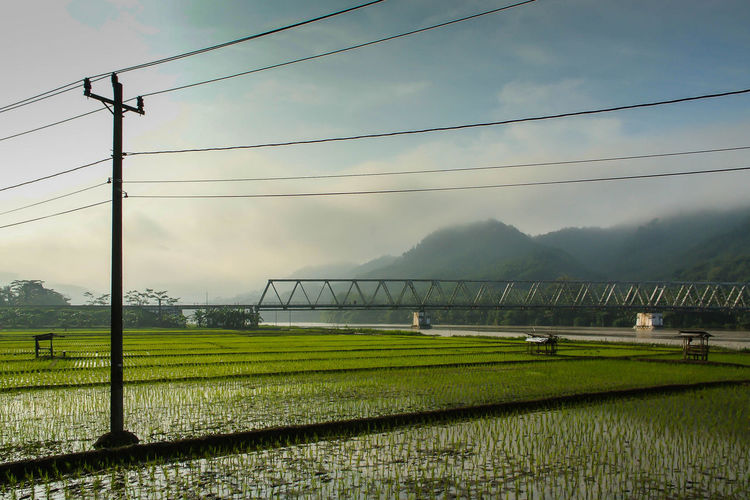 Farmland paddy field view with river bridge metal structure and misty mountain background