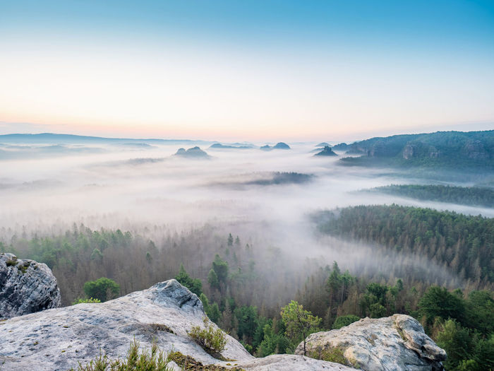 Picturesque sunrise and a foggy morning landscape in the bad schandau nature park region, europe
