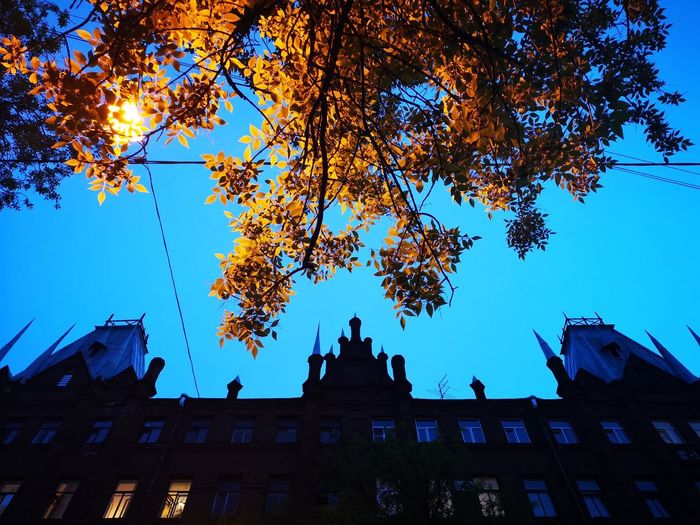 Low angle view of trees and buildings against blue sky