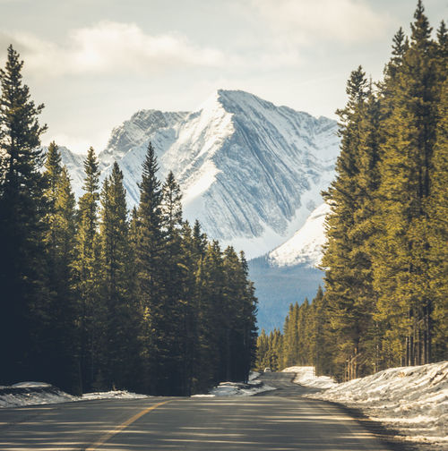 Empty road along trees with snowed mountain in distance