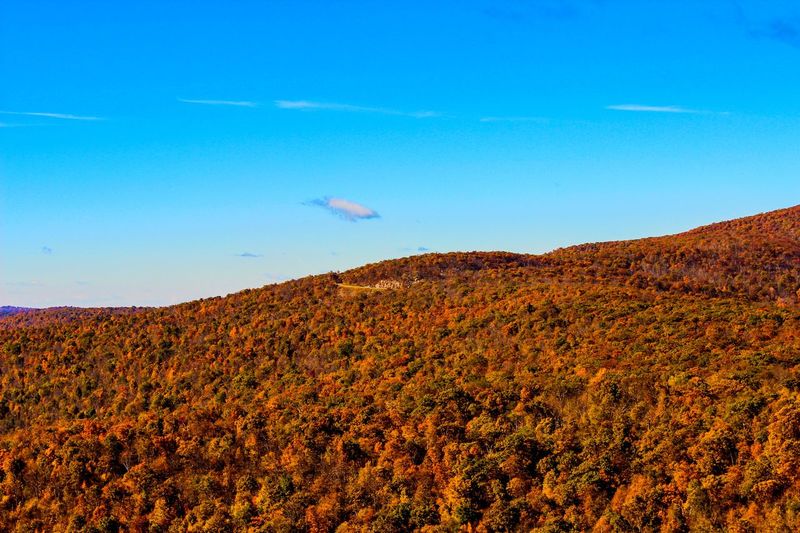 View of landscape against blue sky
