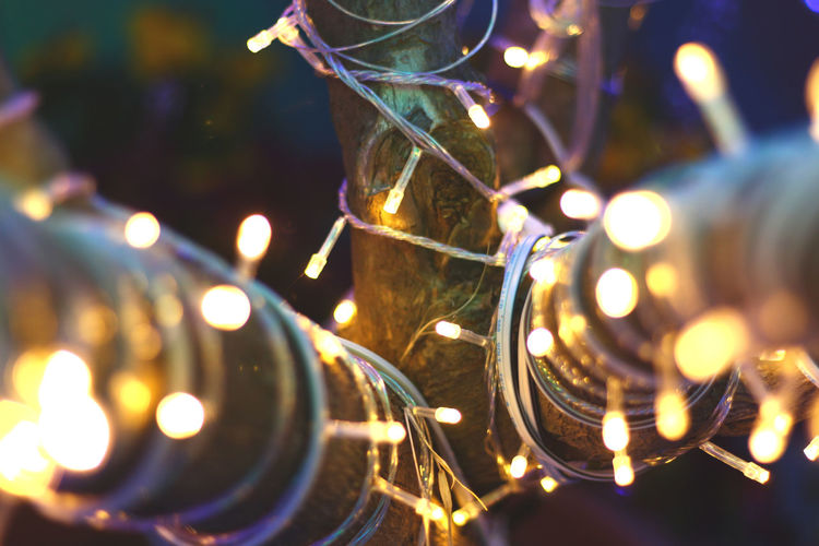 Close-up of illuminated christmas lights on branches