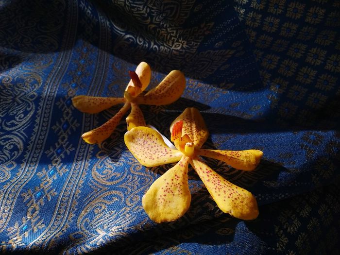 High angle view of fruit on table