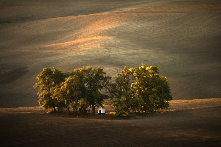 A chapel in the fields of south moravia illuminated by evening light in autumn colors.