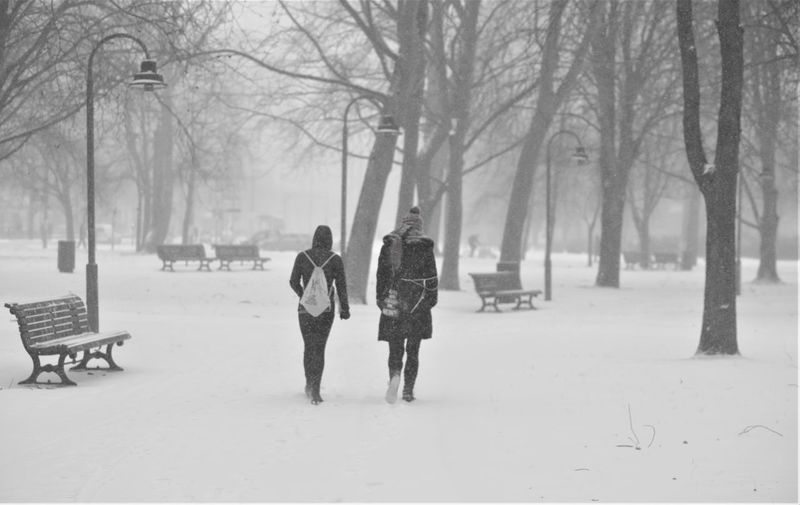 Rear view of women walking on snow covered park