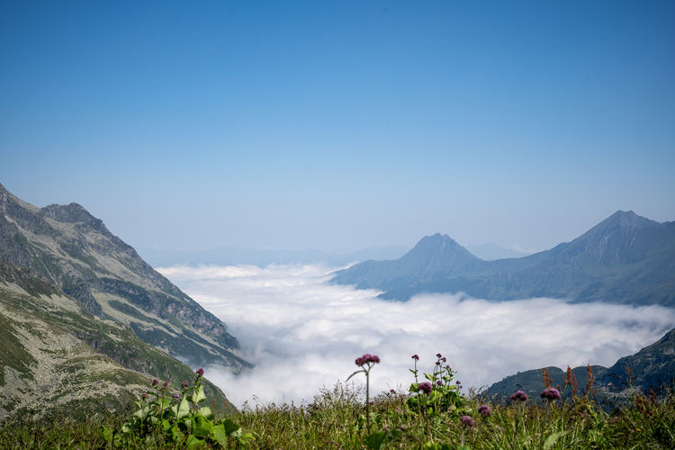 mountain