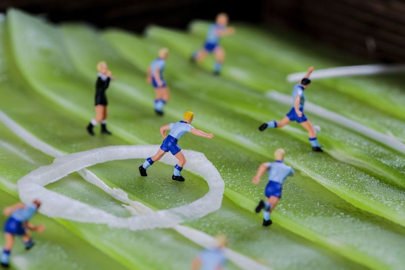 Close-up of soccer figurines on aloe vera