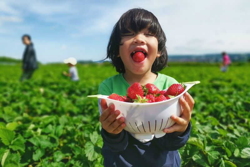Cute boy holding bowl of strawberries while standing on agricultural field