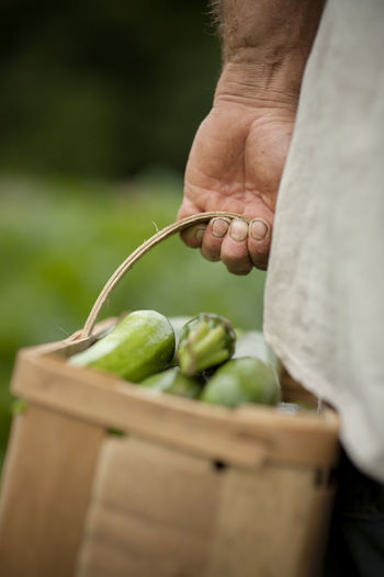 Cropped image of man carrying zucchinis in basket