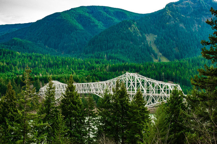 Scenic view of bridge against mountains in forest