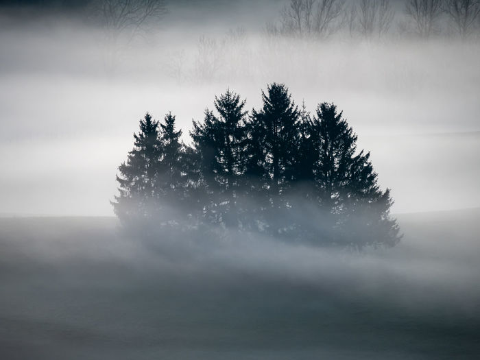 mist