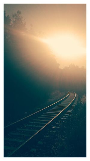 Scenic view of landscape at sunset
