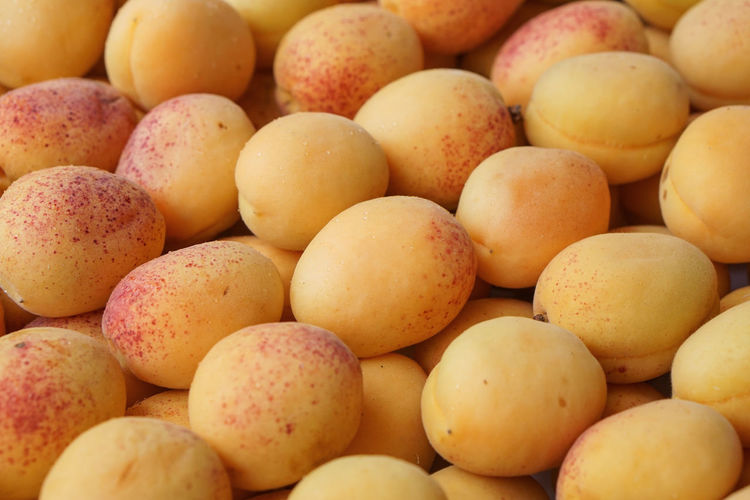 Full frame shot of apricots for sale at market stall